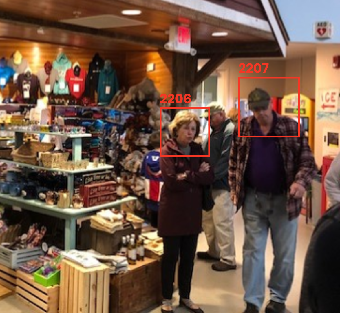 Gender Classification